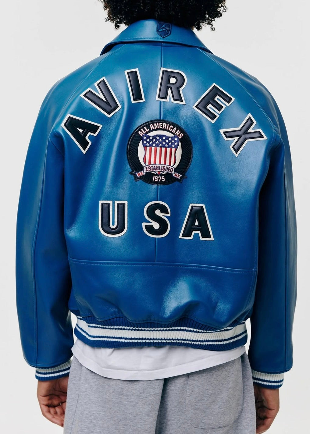 AVIREX Icon Lederjacke - Blaugrün